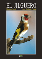jilguero.jpg