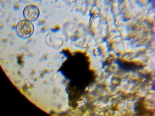 2013_01_30_20_22_25_983.jpg