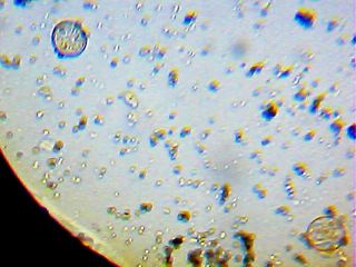 2013_01_30_20_27_14_525.jpg
