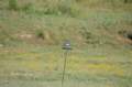 dsc_0002_001_small.jpg