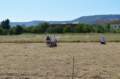 dsc_0012_010_small.jpg