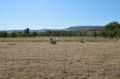 dsc_0013_011_small.jpg