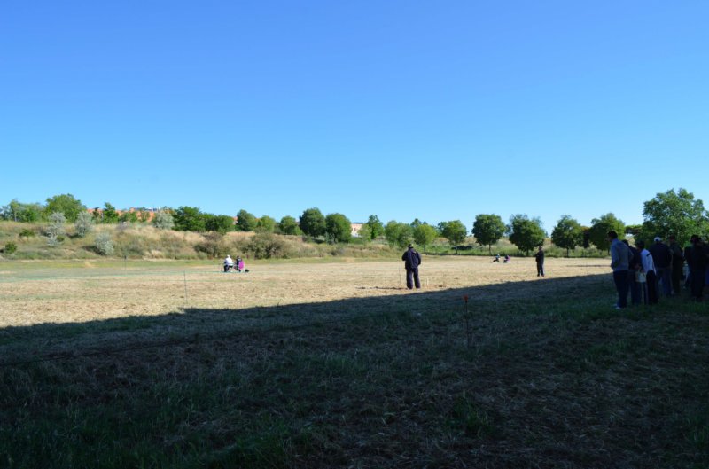 dsc_0015_013.jpg
