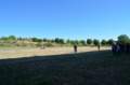 dsc_0015_013_small.jpg