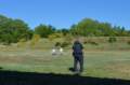 dsc_0017_015_small.jpg