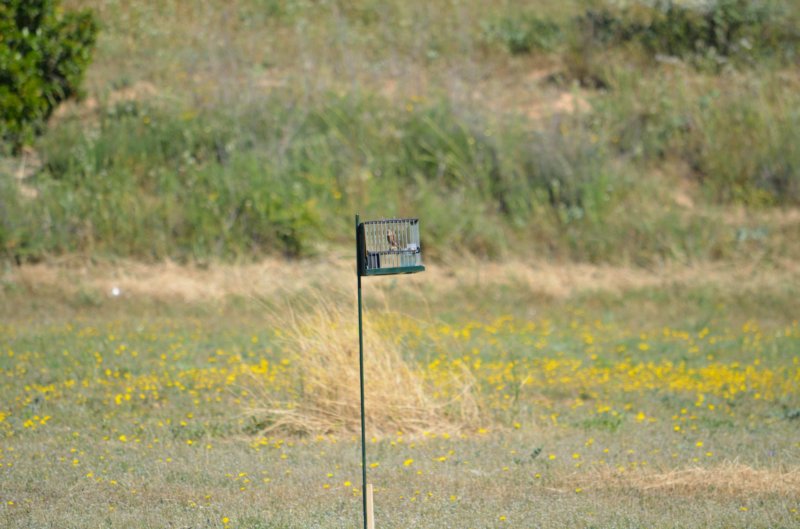 dsc_0024_022.jpg