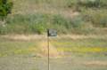 dsc_0024_022_small.jpg