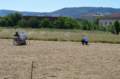 dsc_0032_030_small.jpg