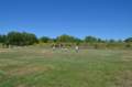 dsc_0049_047_small.jpg