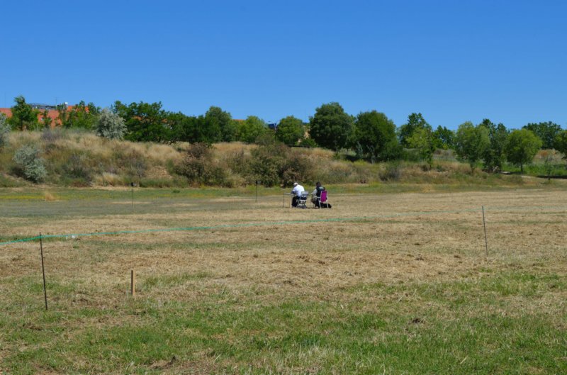 dsc_0050_048.jpg