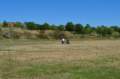 dsc_0050_048_small.jpg