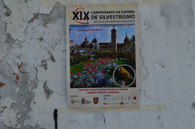 dsc_0051_049.jpg